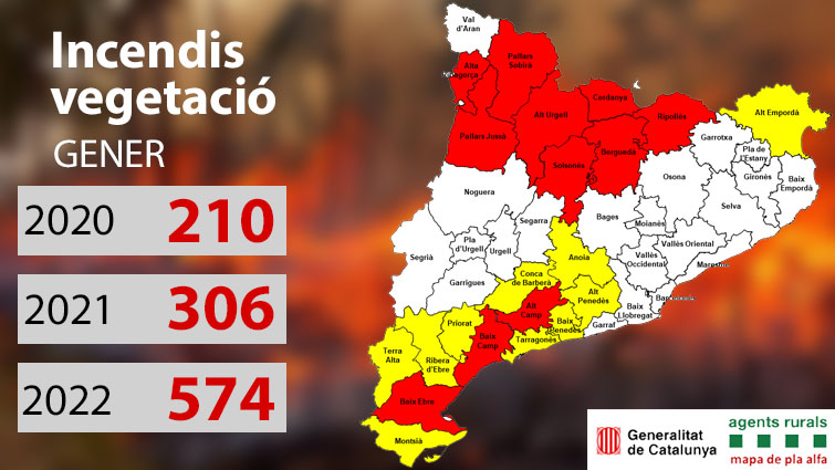 Incendis vegetació gener